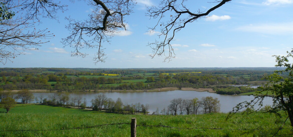 un étang au premier plan et un paysage de bocage à mailles serrées au loin