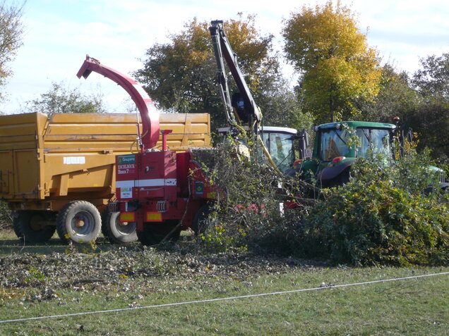 chantier de taille de haie avec déchiquetage des branches dans une machine