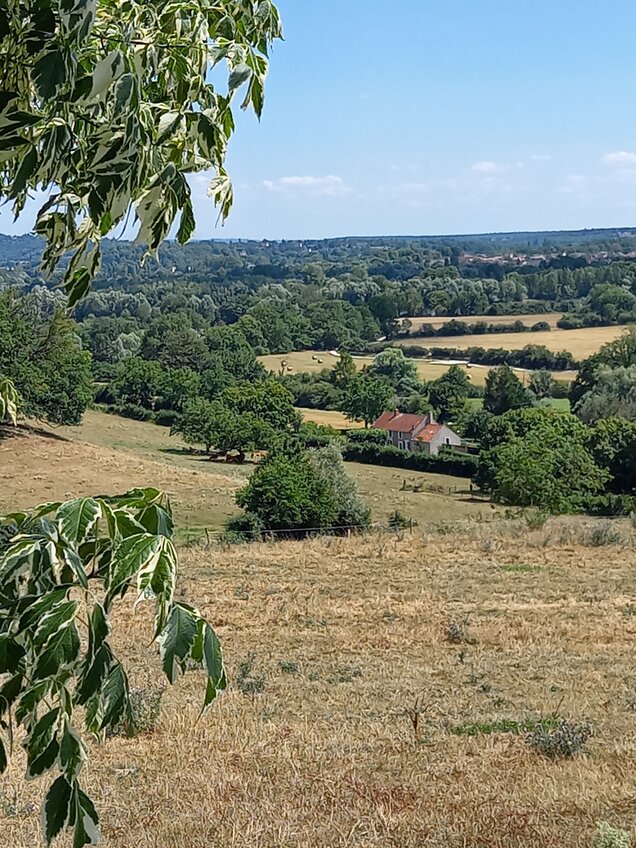 vue d'un paysage de bocage vallonné avec une petite maison en fonds de vallon