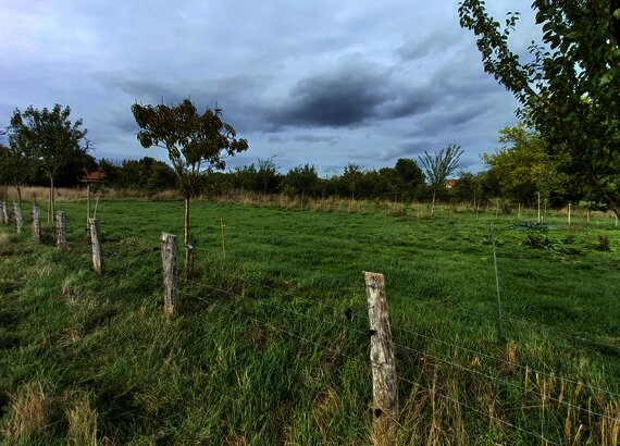 Photo de